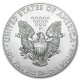 ESTADOS UNIDOS 1 DOLAR 2010 EAGLE LIBERTY PLATA SIN CIRCULAR Oz