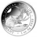 . 1 acoin SOMALIA 100 SHILLINGS 2023 ELEFANTE AFRICANO COMIENDO MONEDA DE PLATA silver Cäpsula 1 ONZA OZ Elephant