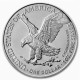 ESTADOS UNIDOS 1 DOLAR 2010 EAGLE LIBERTY PLATA SIN CIRCULAR Oz