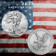 ESTADOS UNIDOS 1 DOLAR 2010 EAGLE LIBERTY PLATA SIN CIRCULAR Oz