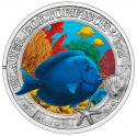 . 1 aacoin AUSTRIA 3 EUROS 2024 PEZ CIRUJANO Vida Marina @COLORES@ 7ª MONEDA DE NICKEL Blauer Doktorfisch