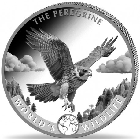 . 1 aaacoin @12/JULIO Envío@ CONGO 20 FRANCOS 2024 HALCON PEREGRINO World's Wildlife 6ª MONEDA DE PLATA ONZA OZ The Peregrine