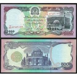 AFGANISTAN 5000 AFGHANIS 1993 MEZQUITA y ANTIGUO PALACIO Pick 62 BILLETE SC Afghanistan UNC BANKNOTE