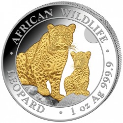 . 1 aaacoin @PLATA y ORO@ SOMALIA 100 SHILLINGS 2024 LEOPARDO African Wildlife MONEDA ONZA OZ