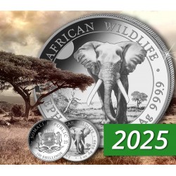 . 1 aaaacoin @ENVÍO HOY@ SOMALIA 100 SHILLINGS 2025 ELEFANTE AFRICANO MONEDA DE PLATA silver CAPSULA ONZA OZ Elephant