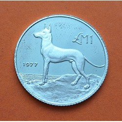 @RARA@ MALTA 1 LIBRA 1977 PERRO DE CAZA MALTES KM.45 MONEDA DE PLATA PROOF Imperfecciones 25 mm