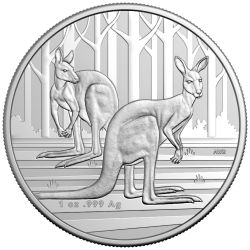 . 1 aaacoin @1ª MONEDA de CHARLES III@ AUSTRALIA 1 DOLAR 2024 CANGURO RAM MINT PLATA Kangaroo OZ