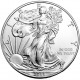 ESTADOS UNIDOS 1 DOLAR 2011 EAGLE LIBERTY PLATA SIN CIRCULAR