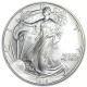 ESTADOS UNIDOS 1 DOLAR 1995 EAGLE LIBERTY PLATA SIN CIRCULAR Oz