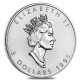 CANADA 5 DOLARES 1995 HOJA DE ARCE MONEDA DE PLATA PURA SC $5 Dollars Coin ONZA OZ OUNCE MAPLE LEAF