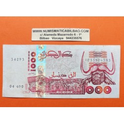 @PVP NUEVO 24€ ARGELIA 1000 DINARES 1998 RUINAS y BUFALO CAFRE Serie 34293 Pick 142 BILLETE CIRCULADO Algeria Algerie