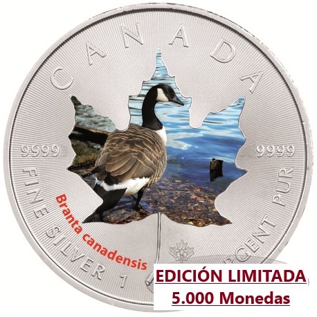 @GANSO EN COLORES@ CANADA 5 DOLARES 2014 HOJA DE ARCE MONEDA DE PLATA PURA $5 Dollars silver MAPLE LEAF 1 ONZA OZ